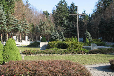 Svidnik and area